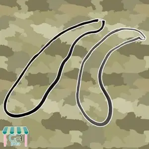 מהדוכן- שרשרת משופצרת לדיסקית