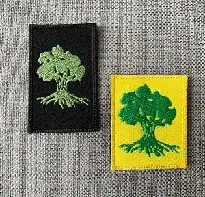 פאצ' סמל גולני