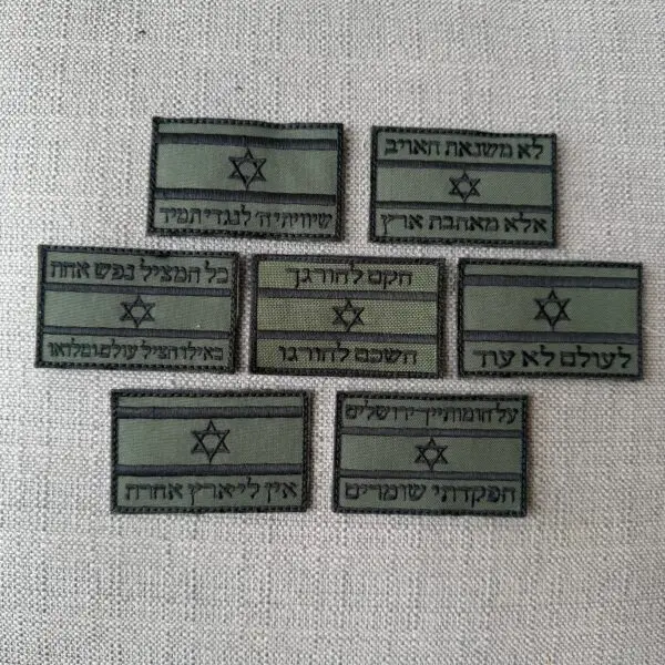 פאצ' דגל ישראל - משפטי הארץ