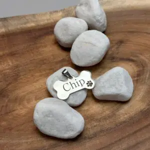 תליון תג שם לכלב עם חריטה  - פלדת אל חלד