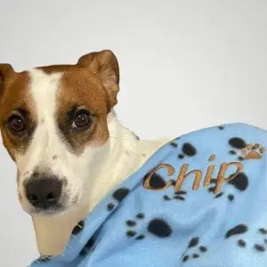 ציוד לחיות מחמד